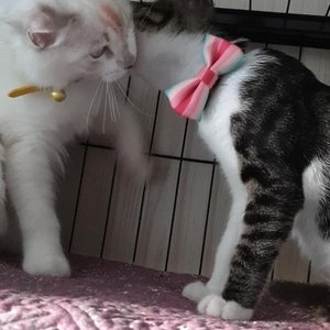 베스트 후기 이미지