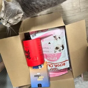 베스트 후기 이미지