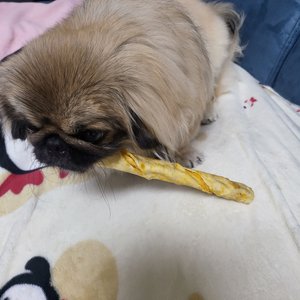 베스트 후기 이미지
