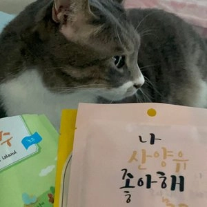 조공 리틀제주 닭가슴살 15g*4p 베스트 후기 이미지