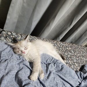베스트 후기 이미지