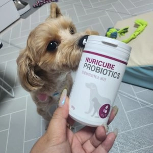 [무료배송] 누리큐브 프로바이오틱스 비건 30g 베스트 후기 이미지