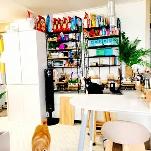 베스트 후기 이미지