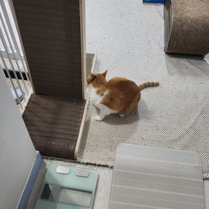 베스트 후기 이미지