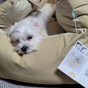 베스트 후기 이미지