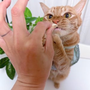 베스트 후기 이미지