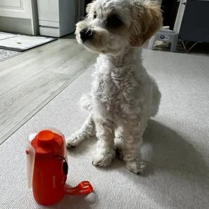 베스트 후기 이미지