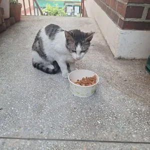 베스트 후기 이미지