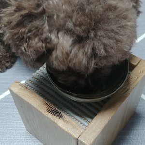 베스트 후기 이미지