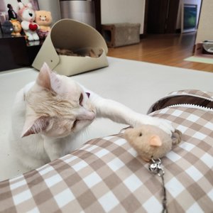 베스트 후기 이미지