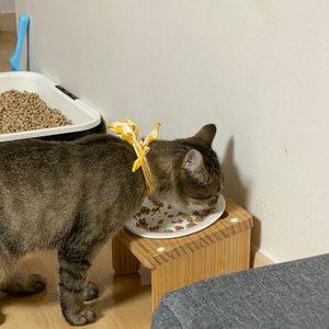 베스트 후기 이미지