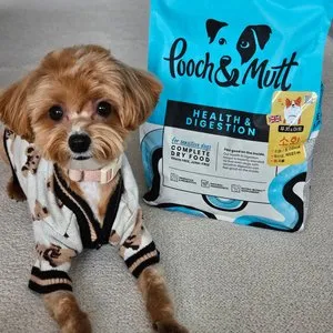 베스트 후기 이미지