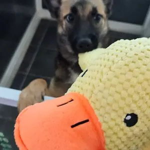 베스트 후기 이미지