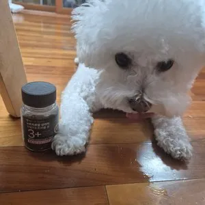 베스트 후기 이미지