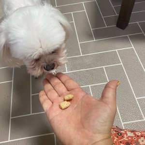 베스트 후기 이미지