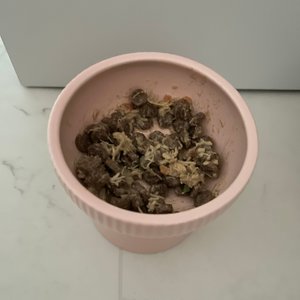 베스트 후기 이미지