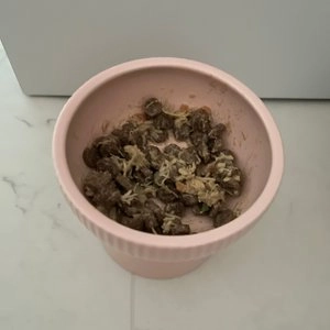 시저 독 홀썸볼 닭 당근 보리 콩 & 소 닭 당근 고구마 85g*6p 베스트 후기 이미지