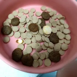 베스트 후기 이미지