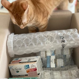 베스트 후기 이미지