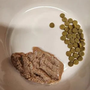 베스트 후기 이미지