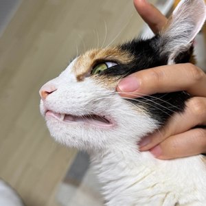 베스트 후기 이미지