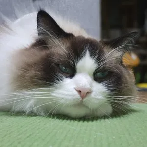 베스트 후기 이미지