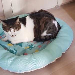 베스트 후기 이미지