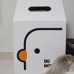 베스트 후기 이미지