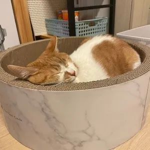 베스트 후기 이미지