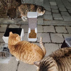 베스트 후기 이미지