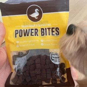 [창고대방출] POWER TREAT 독 파워바이트 오리고기 200g 베스트 후기 이미지