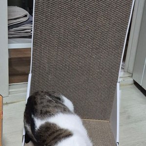 베스트 후기 이미지