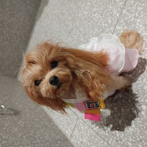 베스트 후기 이미지
