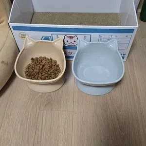 베스트 후기 이미지