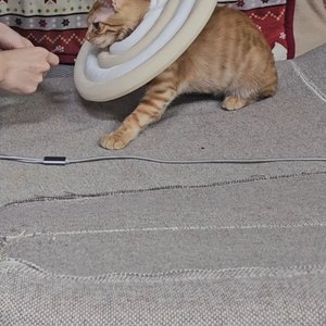 베스트 후기 이미지