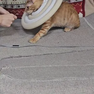 베스트 후기 이미지