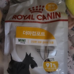 베스트 후기 이미지