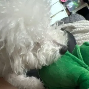 베스트 후기 이미지