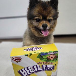 베스트 후기 이미지
