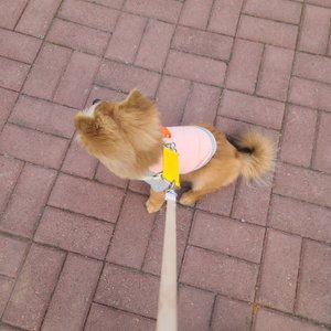베스트 후기 이미지