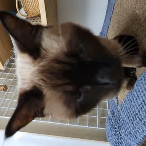 베스트 후기 이미지