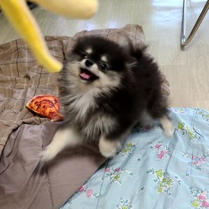 베스트 후기 이미지