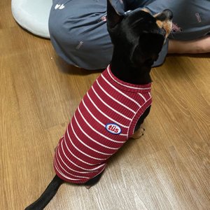 베스트 후기 이미지