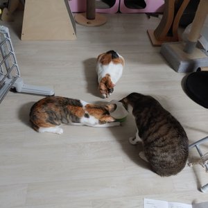 베스트 후기 이미지