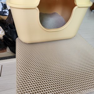 베스트 후기 이미지