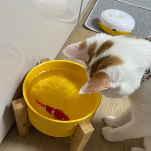 베스트 후기 이미지