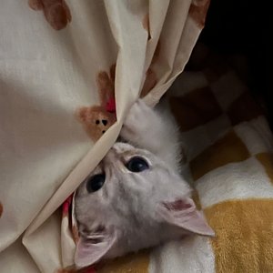베스트 후기 이미지