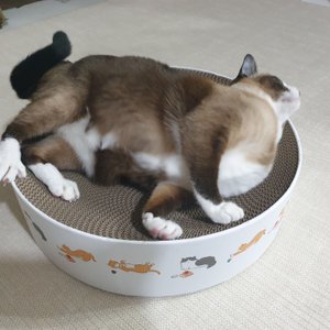 베스트 후기 이미지