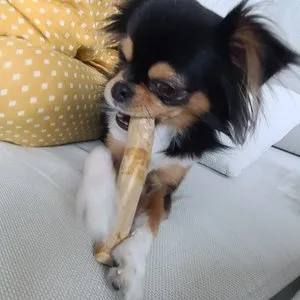 베스트 후기 이미지