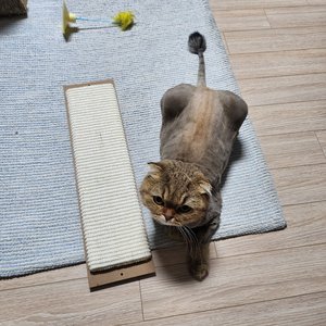 베스트 후기 이미지